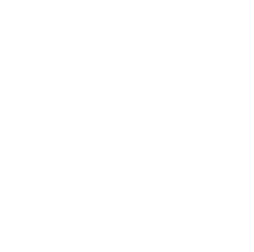 Custom Software Development
